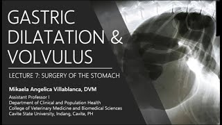 Lecture 72 Gastric Dilatation and Volvulus [upl. by Navanod]