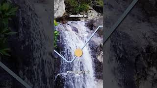 Guided Breathing Meditation for Anxiety 46 breathingtechnique breathingmeditation [upl. by Romeon352]