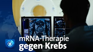 Entwicklung von mRNATherapie gegen Krebs [upl. by Weber748]