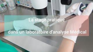 les informations nécessaires pour un stage pratique pour les étudiants de biologie f dz ستاج براتيك [upl. by Sitof]