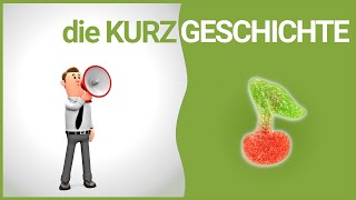 die Kurzgeschichte  Merkmale  DiB [upl. by Asirb]