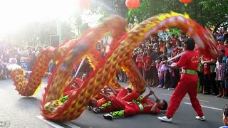 Atraksi Naga LIONG Barongsai  Seru Lihat Lebih Dekat Chinese Dragon Dance at Car Free Day Jogja [upl. by Polik]