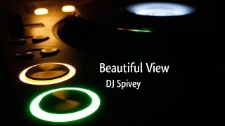 quotBeautiful Viewquot A Soulful House Mix by DJ Spivey [upl. by Adikram888]