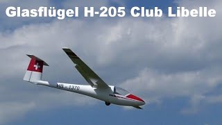 Glasflügel H205 Club Libelle Reichard Modelsport  scale RC glider  Dub 2020 [upl. by Nosreip]