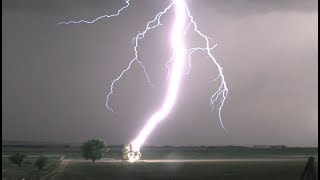 Lightning Striking Tree in 4K  Tree Catches on Fire [upl. by Kire]