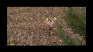 Mathews Bows Tv Commercial Kill Shot [upl. by Eidok119]