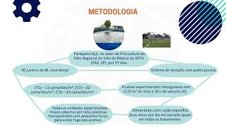 EFEITO DE DIFERENTES DENSIDADES DE ESTOCAGEM NO CULTIVO DE CAMARÃ•ES MACROBRACHIUM ROSENBERGII DURANT [upl. by Mazlack6]