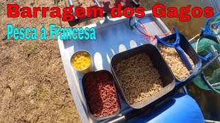 Barragem dos Gagos  Pesca à Francesa  Teste Insta360 Go 2 Camera [upl. by Jean]