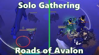 Solo Gathering Roads of Avalon Vol35  Albion Online [upl. by Bergstrom]