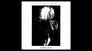 Prurient  Pleasure Ground Full Album [upl. by Aggappe]