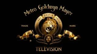 Amblin TelevisionImageMoversMGM TelevisionWarner Bros Television 2023 [upl. by Siffre]