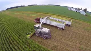 2017 Corn Silage Harvest at Convoy Dairy  Convoy Ohio [upl. by Sigsmond]