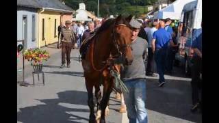 Tallow Horse Fair 05 Sep 2016 [upl. by Galan32]