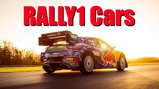 RALLY1 Cars  EXPLAINED [upl. by Llertnov156]