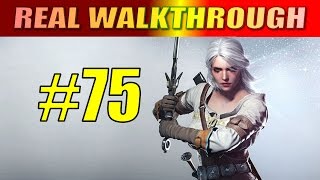 The Witcher 3 Walkthrough  Part 75  Count Reuvens Treasure 4 [upl. by Schlessinger]