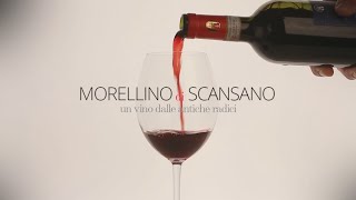 Morellino di Scansano Un vino dalle antiche radici [upl. by Orual]