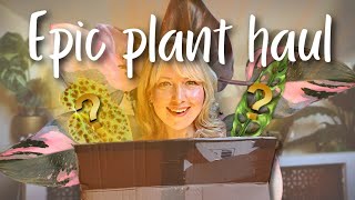 GROW TROPICALS PLANT HAUL  THE COOLEST PLANT I OWN [upl. by Yerg]