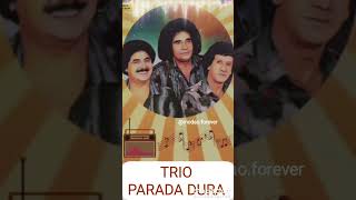 Trio Parada Dura modãosertanejo tiãocarreiroepardinho trioparadadura [upl. by Caldera]