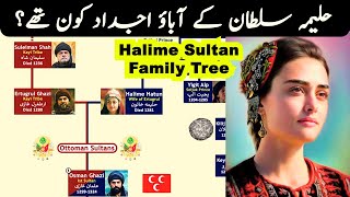 Halime Sultan Family Tree  Seljuk Wife of Ertugrul Ghazi [upl. by Spiers]