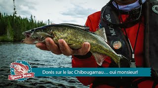 Leurre Juste S06e09  Dorés sur le lac Chibougamau… oui monsieur [upl. by Hilton]