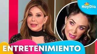 Myrka Dellanos defiende a Luis Miguel ante declaraciones de Aracely Arámbula  Hoy Día  Telemundo [upl. by Ail]