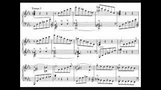 Clara Schumann Scherzo n 2 in C minor op 14 1841 [upl. by Laddy486]