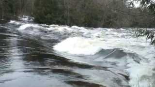 Oxtongue Lake Dam  Spring Flood Conditions [upl. by Tnirb]