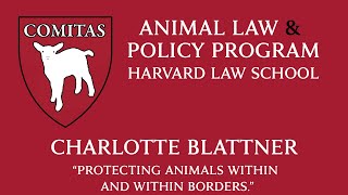 111819  Charlotte Blattner quotProtecting Animals Within and Across Bordersquot [upl. by Labors84]