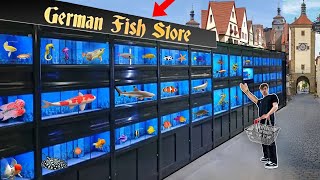 GERMANY EXOTIC FISH STORE TOUR [upl. by Ellebana]