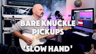 Slow Hand Single Coil Set PlayThrough with Dan Stevens [upl. by Naugal707]