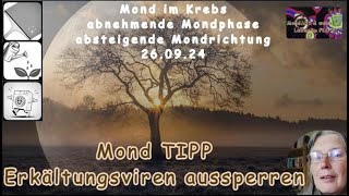 Mond TIPP für die Gesundheit  Erkältungsviren aussperren [upl. by Ahsilak750]