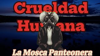 La Crueldad Humana  La Mosca Panteonera [upl. by Oiralednac]