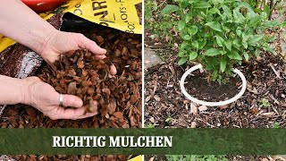 Mulchen  aber richtig Vor und Nachteile verschiedener Mulch Materialien im Überblick [upl. by Notluf101]