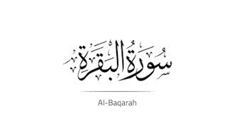 Memorizing Surah Al Baqarah 15 with tajweed [upl. by Maker]