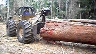 Skidder logging a large tree in a tropical forest rain forest [upl. by Abbot]