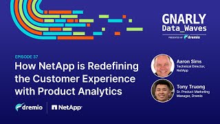 EP37  How NetApp is Redefining the Customer Experience with Product Analytics [upl. by Leamse]