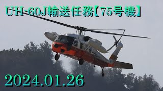 UH60J輸送任務【75号機】20240126 [upl. by Azerila]