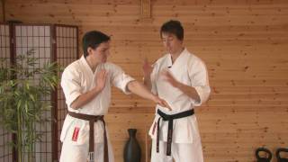 ESKK® Online Lesson 2 part 2 Hikite the pulling hand [upl. by Lenad384]