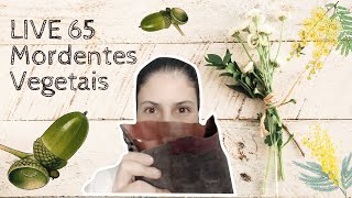 LIVE 65  Mordentes Vegetais [upl. by Nomla]