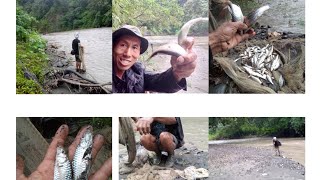 Cast net fishing videos  catching lots of fish by cast net [upl. by Hedelman]