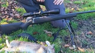 Brendon Bloods the new T1x 17hmr [upl. by Nbi]