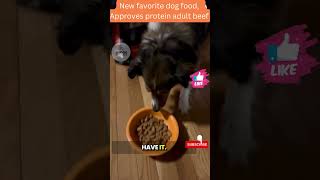 Pro Plan Beef Dog Food Review New Favorite for Protein dog dognutrition pets dogfood [upl. by Baumbaugh]