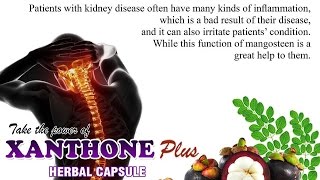 Xanthone Plus Herbal Capsule [upl. by Croner]