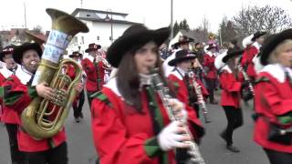 Narrenzunft Winzeln 2014 in Herrenzimmern [upl. by Sandie]