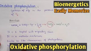 Oxidative Phosphorylation  Class 11 Biology [upl. by Nelyt]