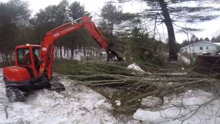 Morbark Wood Chipper 2400XL Eating Trees [upl. by Knarf686]