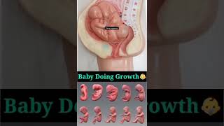 Twins baby growth [upl. by Felicle]