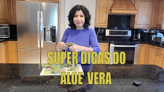 TUDO O QUE VOCÊ PRECISA SABER SOBRE ALOE VERA [upl. by Aiselad]