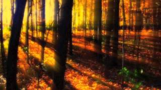 quotLe quattro stagioniquot Autunno 2Adagio MoltoA Vivaldi HQ [upl. by Ducan]