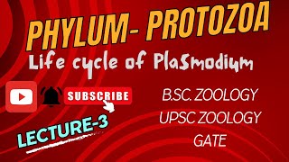 Plasmodium  Life cycle of Malarial Parasite  Notes Pdf in Description  BSc Zoology  Biology [upl. by Oakleil]